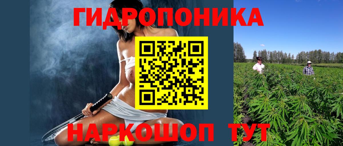 Бошки Шишки Bruce Banner Барабинск